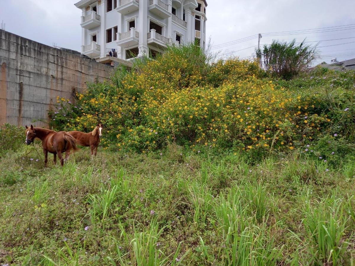 Kp Villa Dalat Buitenkant foto
